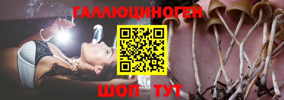 Псилоцибиновые грибы Magic Shrooms Урюпинск